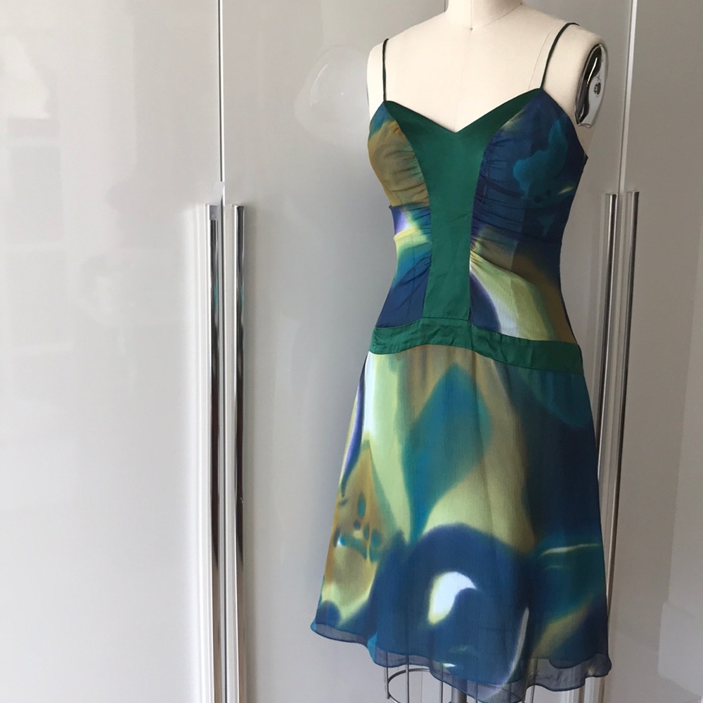 Painted silk and dark green dress